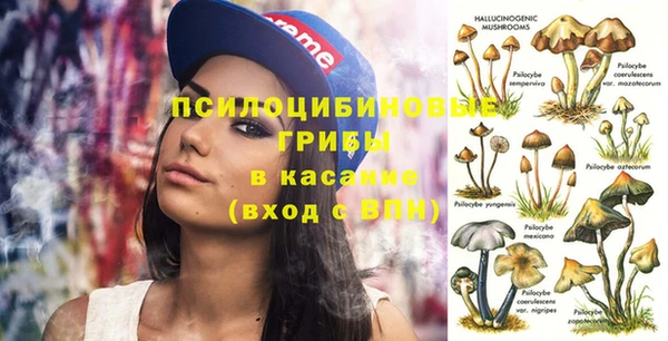 твердый Нязепетровск