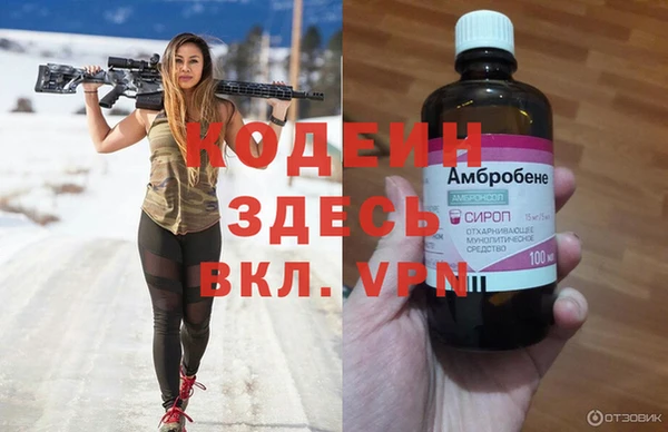 прущие грибы Бородино