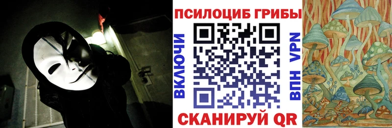 Галлюциногенные грибы Psilocybine cubensis  закладки  Кадников 